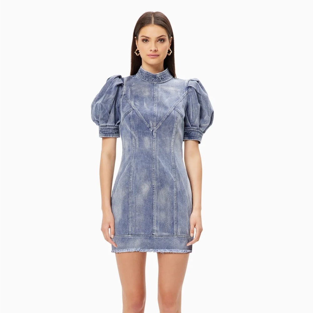 Elliatt Denim Puff Sleeve Mini Dress **never worn